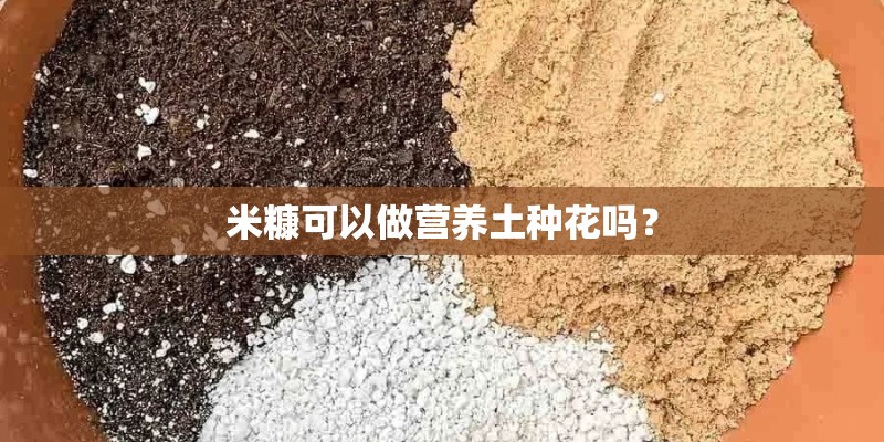米糠可以做营养土种花吗? 米糠可以做营养土种花吗?
