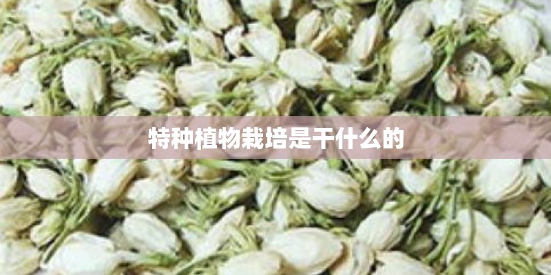 特种植物栽培是干什么的