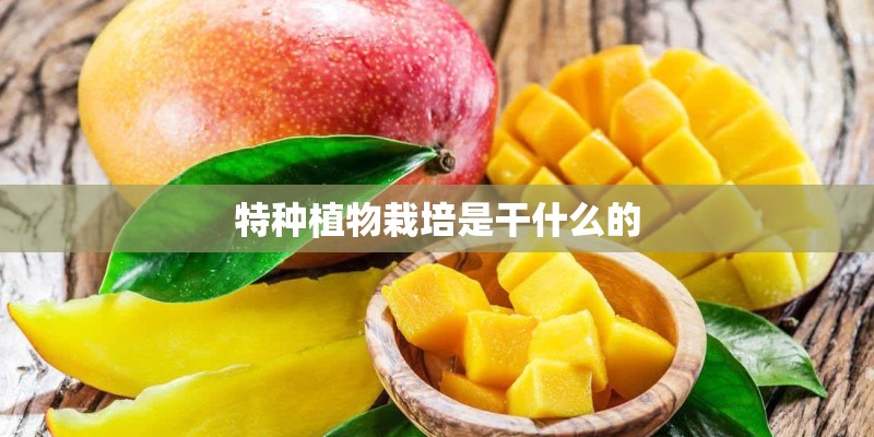 特种植物栽培是干什么的