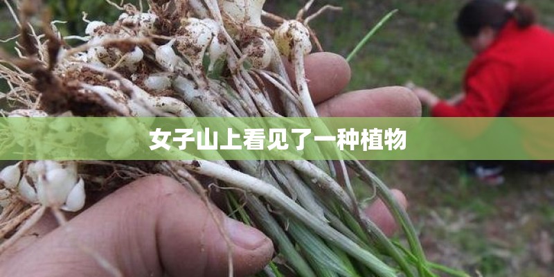 会计基础重点知识
