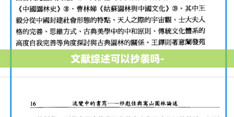 文献综述可以抄袭吗-