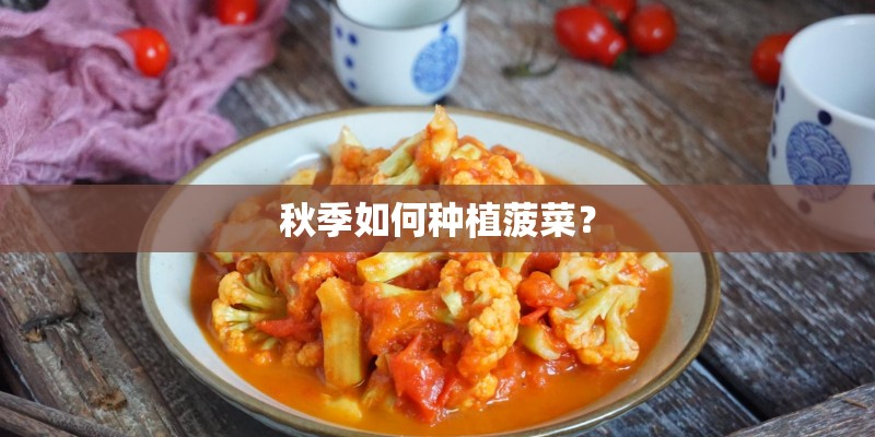 会计基础重点知识