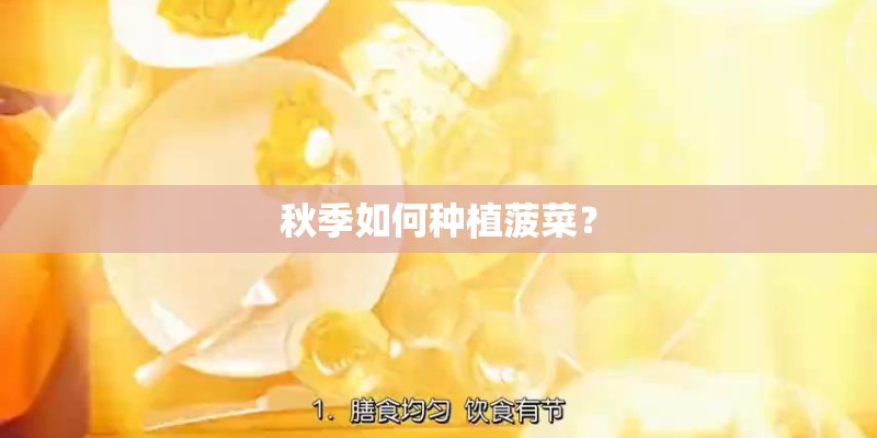 秋季如何种植菠菜？