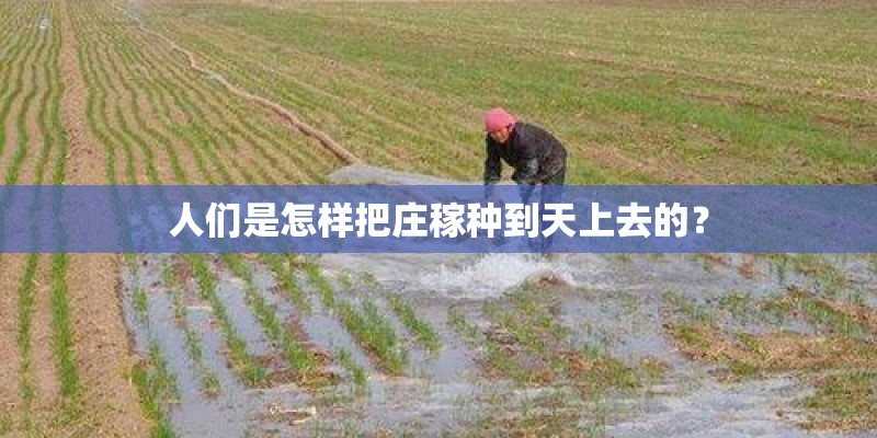 特种植物栽培是干什么的