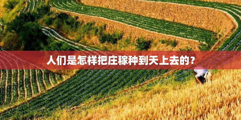 人们是怎样把庄稼种到天上去的？