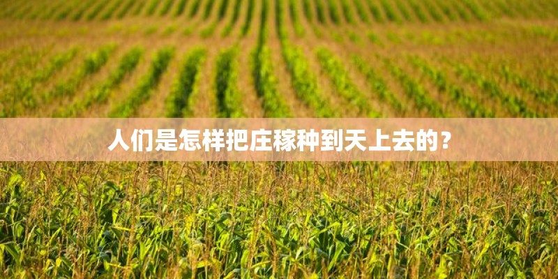 人们是怎样把庄稼种到天上去的？