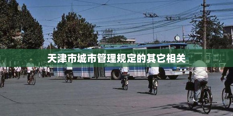 文献综述可以抄袭吗-