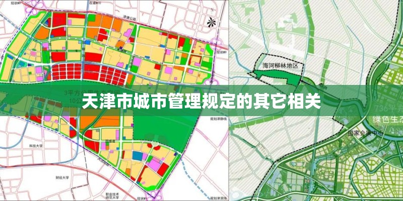 天津市城市管理规定的其它相关