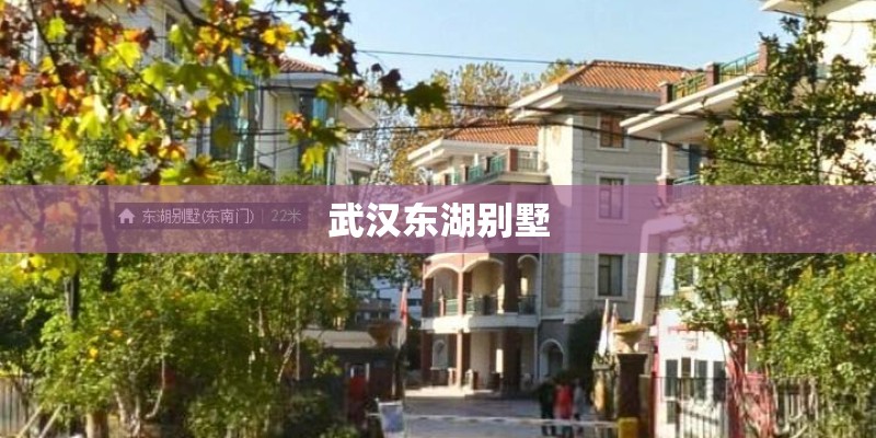 武汉东湖别墅