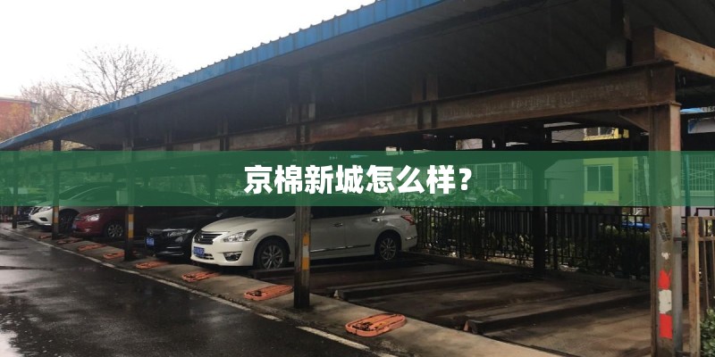 文献综述可以抄袭吗-