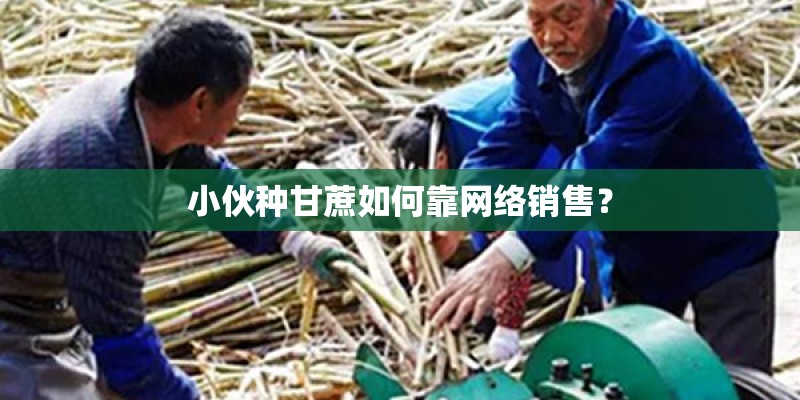 小伙种甘蔗如何靠网络销售？