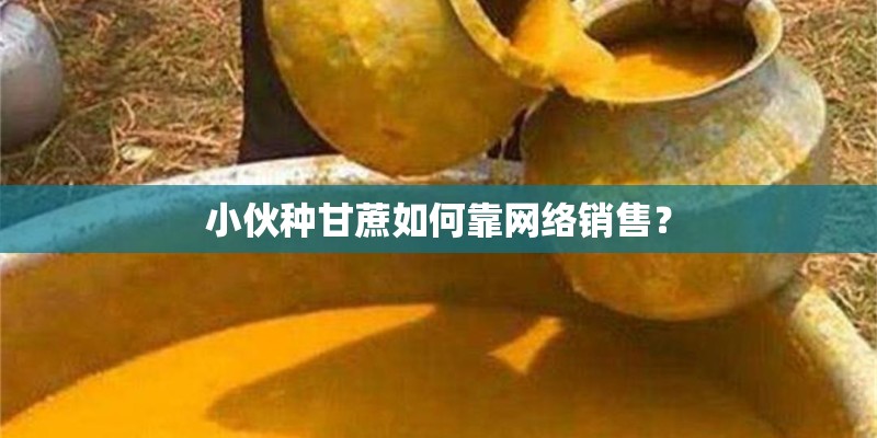 小伙种甘蔗如何靠网络销售？