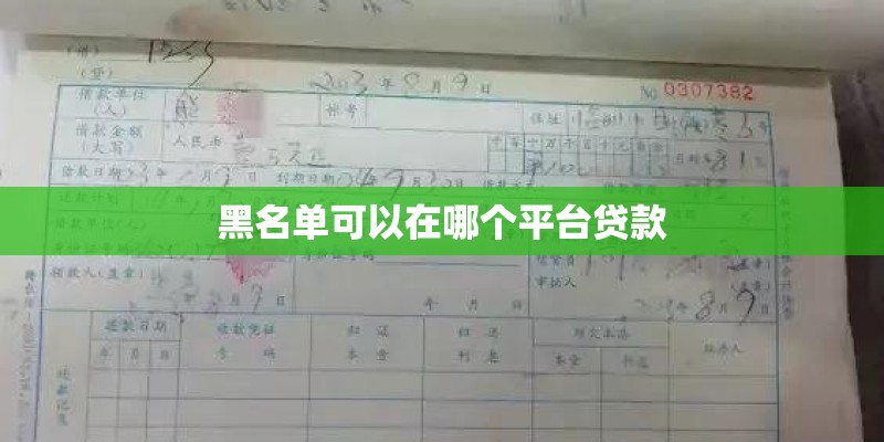 黑名单可以在哪个平台贷款