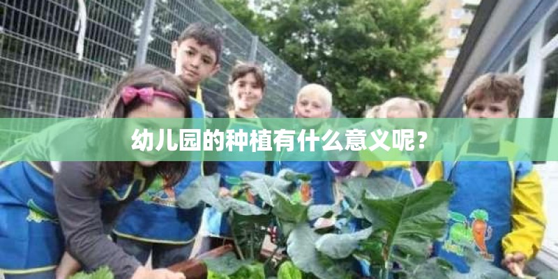 幼儿园的种植有什么意义呢？