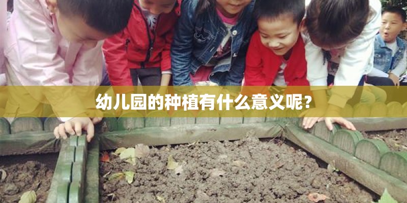 幼儿园的种植有什么意义呢？