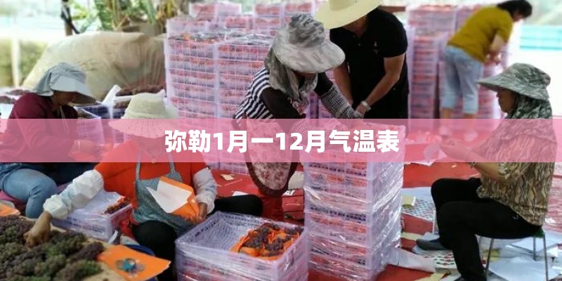 弥勒1月一12月气温表
