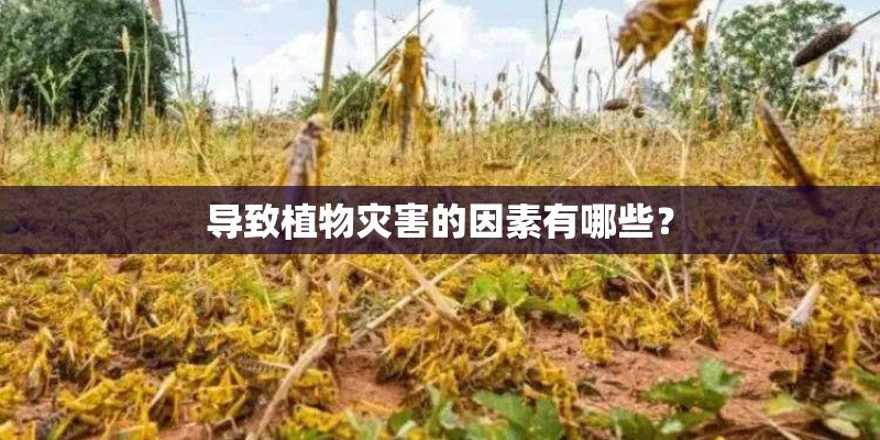 导致植物灾害的因素有哪些？