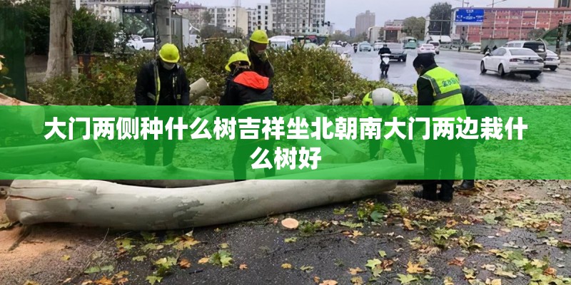 大门两侧种什么树吉祥坐北朝南大门两边栽什么树好