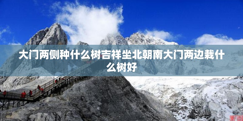 大门两侧种什么树吉祥坐北朝南大门两边栽什么树好