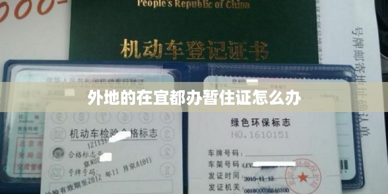 玫瑰盛开芬芳的历史