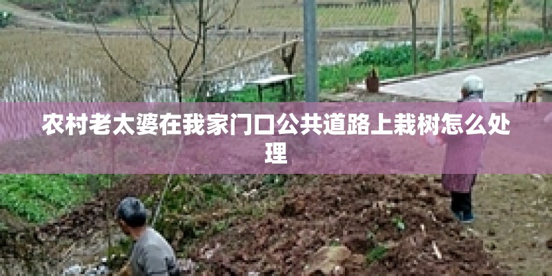 9月份∽1月份适合栽种什么花-