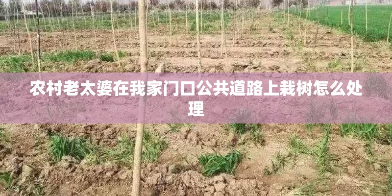 农村老太婆在我家门口公共道路上栽树怎么处理