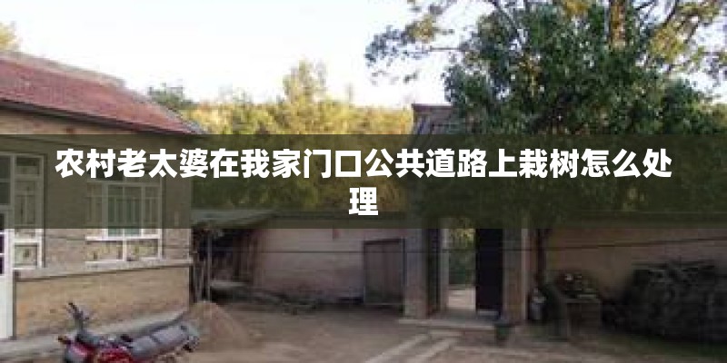 农村老太婆在我家门口公共道路上栽树怎么处理