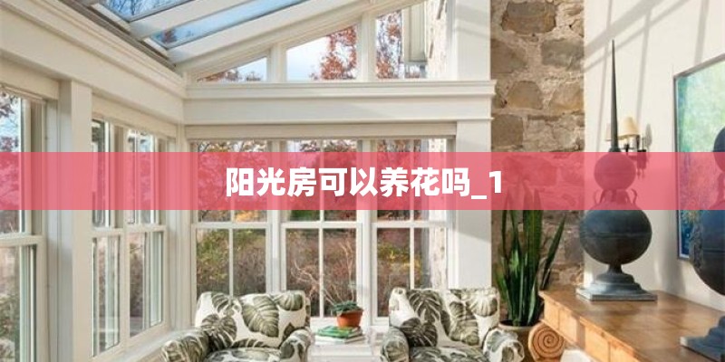 阳光房可以养花吗_1