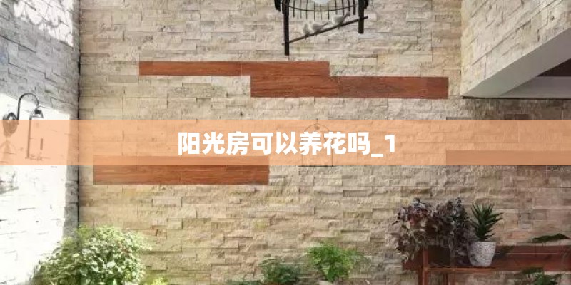阳光房可以养花吗_1