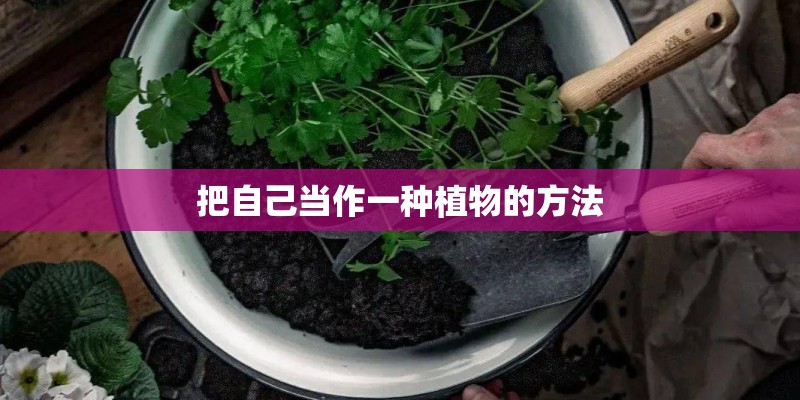 把自己当作一种植物的方法