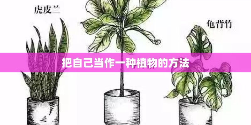 k257次列车经过哪里？