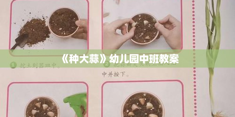 《种大蒜》幼儿园中班教案