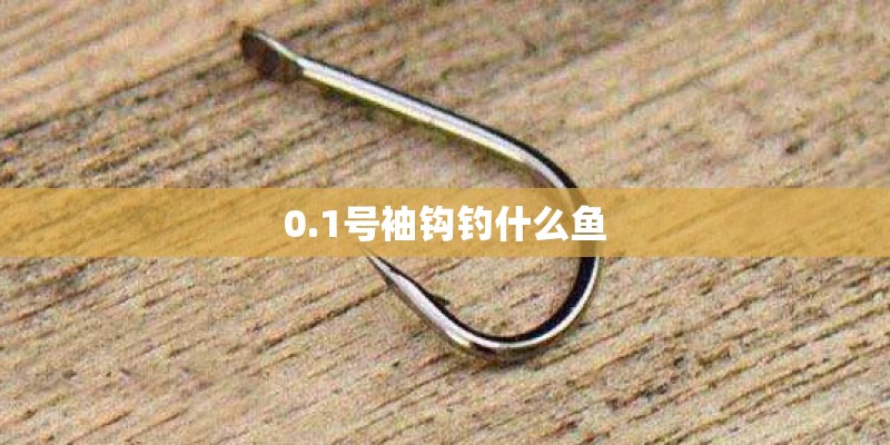 冬天有什么花会开放