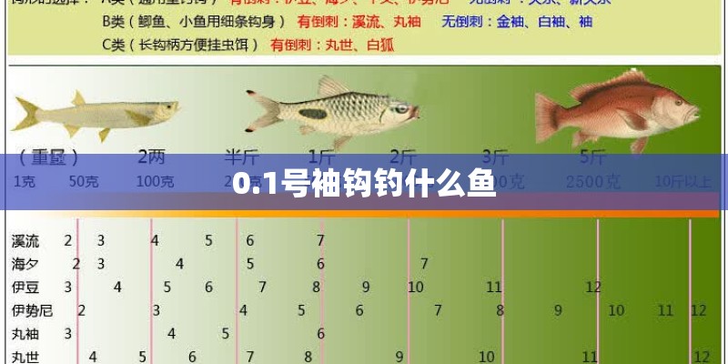 0.1号袖钩钓什么鱼