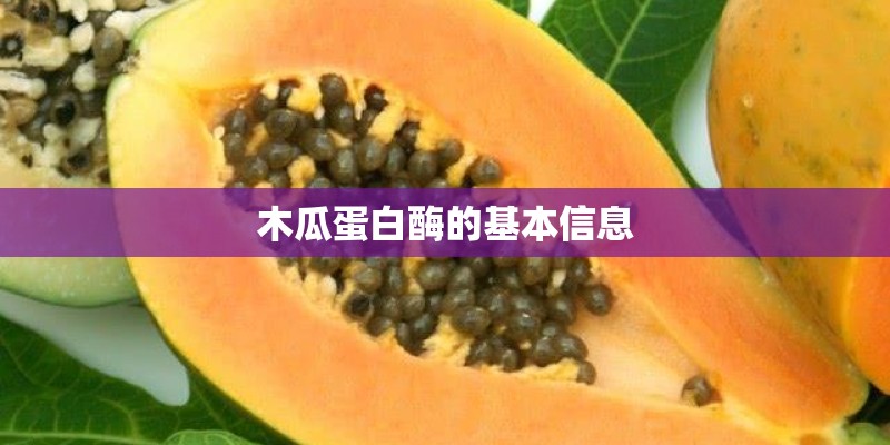 把自己当作一种植物的方法