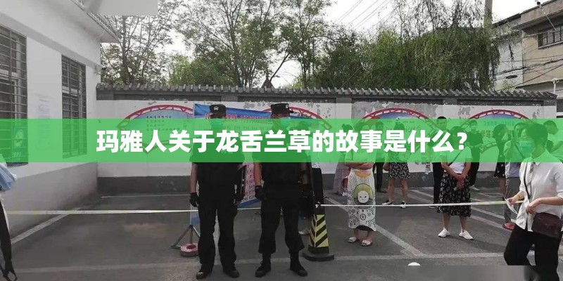 玛雅人关于龙舌兰草的故事是什么？