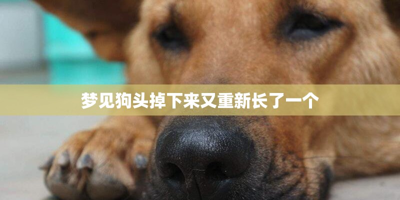 玛雅人关于龙舌兰草的故事是什么？