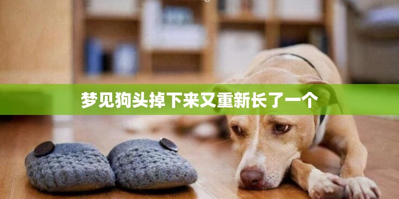 梦见狗头掉下来又重新长了一个