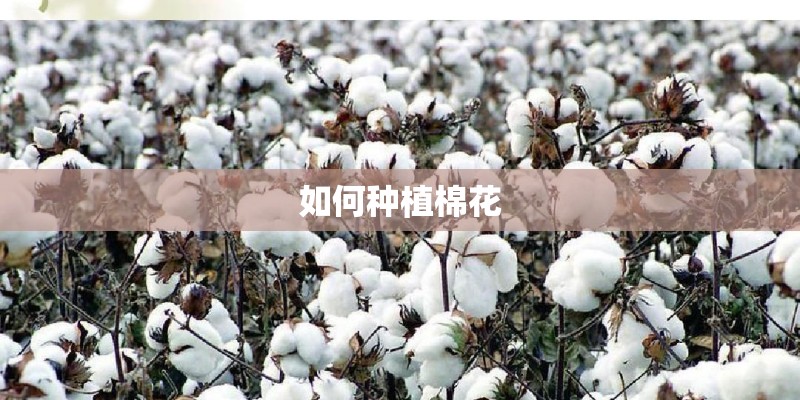 生态文明主题教育实践活动总结