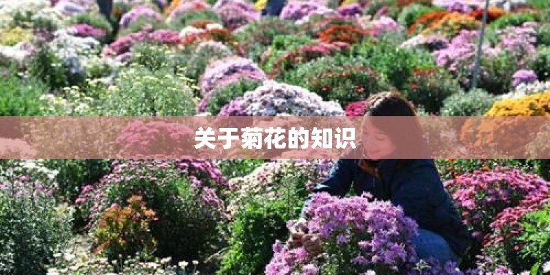 很短很深经典美文