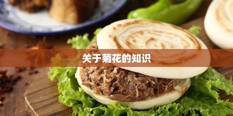 关于菊花的知识