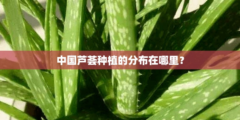 我想在北京市房山区租一套一室一厅的楼房