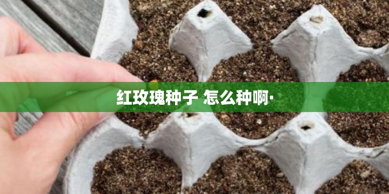 30-40岁女人适合香水经济实惠