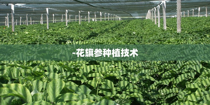 无限试驾2新手车辆选择技巧