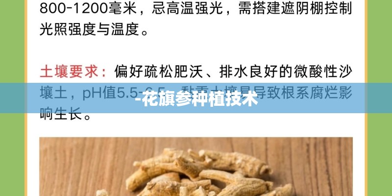 -花旗参种植技术
