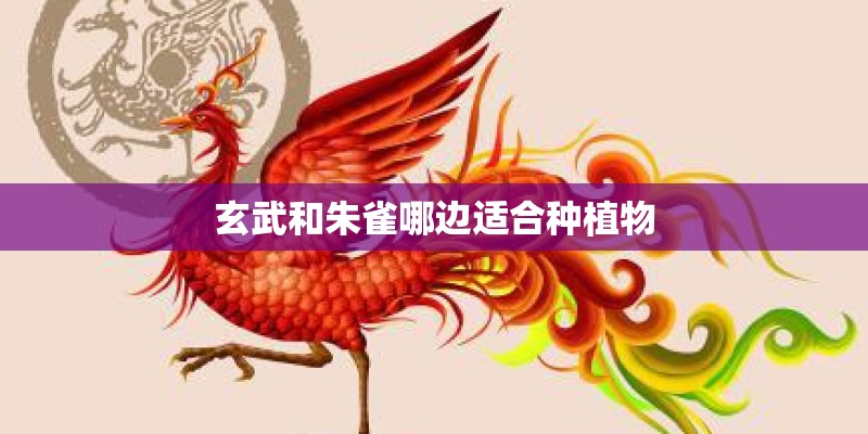 2023年起将退出国内 讴歌何以遗憾收场？