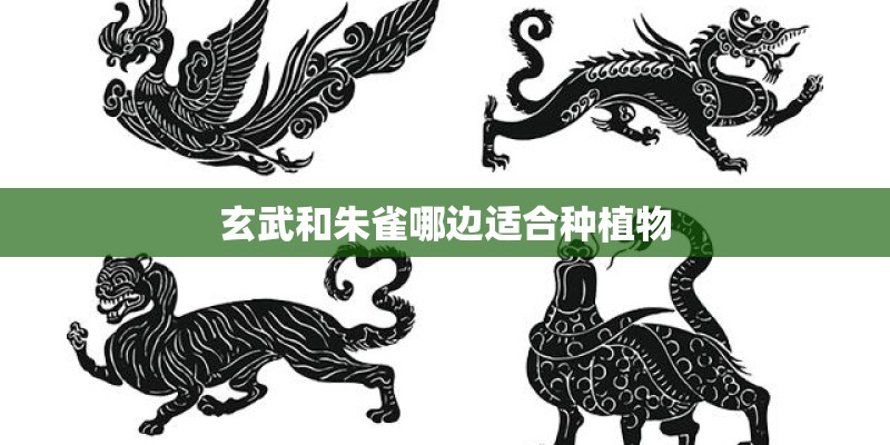 玄武和朱雀哪边适合种植物