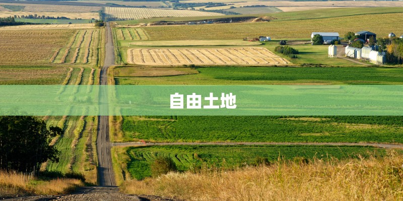 源于民间的赛场老手 赛车化改装三菱翼神