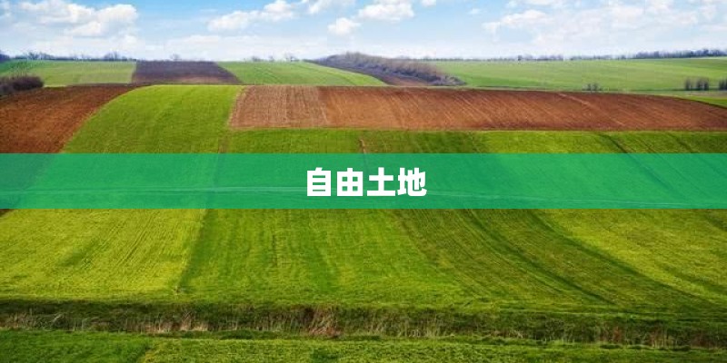 自由土地