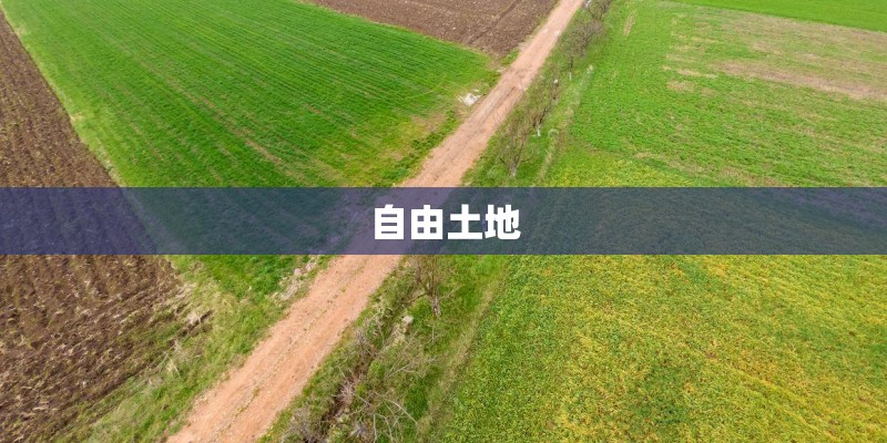 自由土地